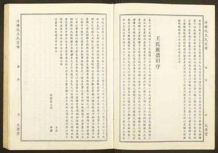 江西王氏族谱-洋塘坑王氏宗谱.pdf电子版预览图5