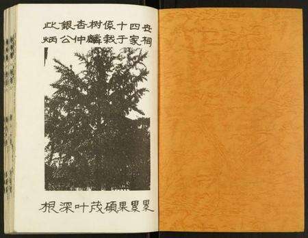 江苏乔氏族谱-盐城乔氏宗谱.pdf电子版预览图1