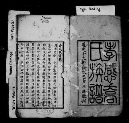 湖北乔氏族谱-孝感乔氏族谱 [4卷].pdf电子版预览图2