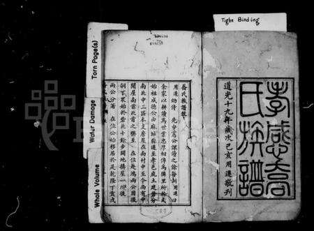 湖北乔氏族谱-孝感乔氏族谱 [4卷].pdf电子版预览图3