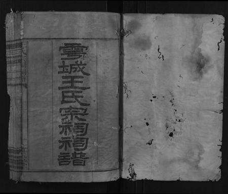 江西王氏族谱-王氏宗祠祠谱.pdf电子版预览图1