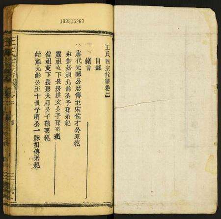 江西王氏族谱-王氏宗谱.pdf电子版预览图1