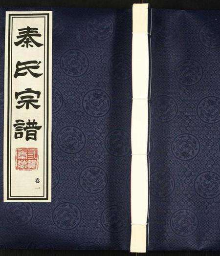 江苏秦氏族谱-秦氏宗谱.pdf电子版缩略图