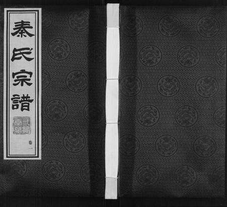 江苏秦氏族谱-秦氏宗谱.pdf电子版缩略图