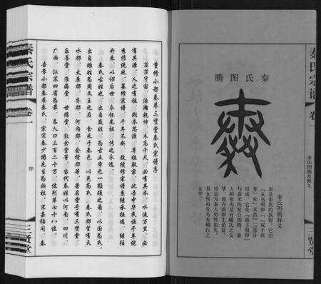 江苏秦氏族谱-秦氏宗谱.pdf电子版预览图2