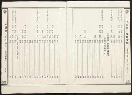 江西王氏族谱-王氏宗谱 [存卷3].pdf电子版预览图2