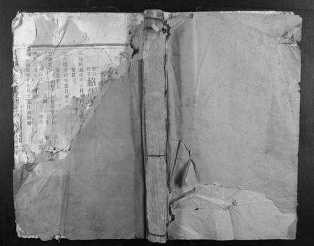 江西王氏族谱-王氏族谱.pdf电子版缩略图