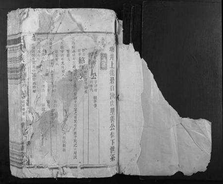 江西王氏族谱-王氏族谱.pdf电子版预览图1