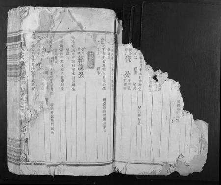 江西王氏族谱-王氏族谱.pdf电子版预览图2