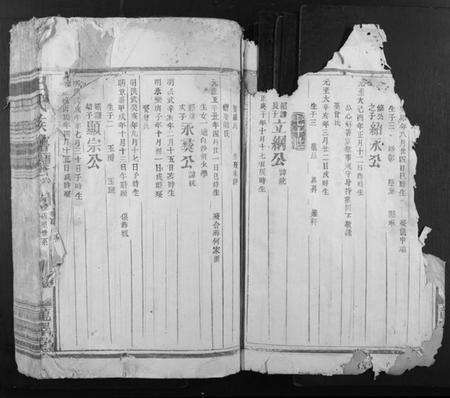 江西王氏族谱-王氏族谱.pdf电子版预览图3