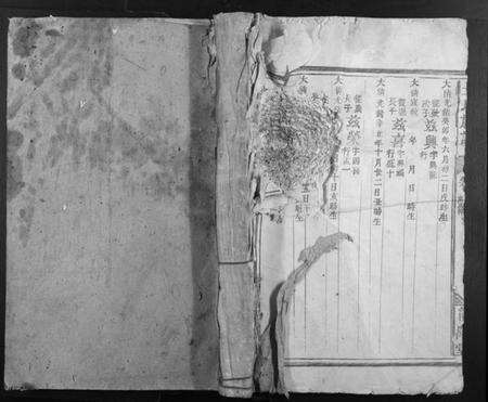 江西王氏族谱-王氏族谱.pdf电子版缩略图