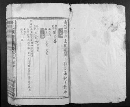 江西王氏族谱-王氏族谱.pdf电子版预览图1