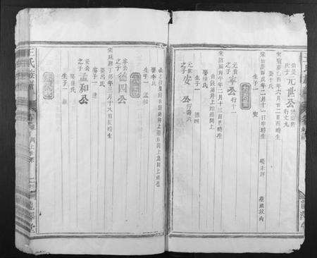 江西王氏族谱-王氏族谱.pdf电子版预览图2