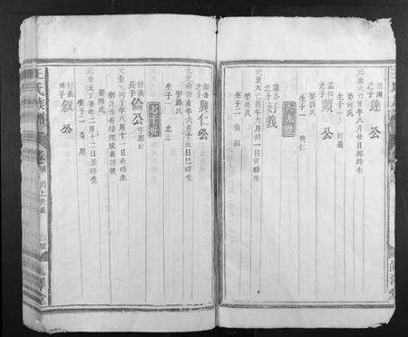 江西王氏族谱-王氏族谱.pdf电子版预览图3