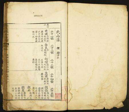 江西王氏族谱-王氏武山宗谱.pdf电子版预览图1