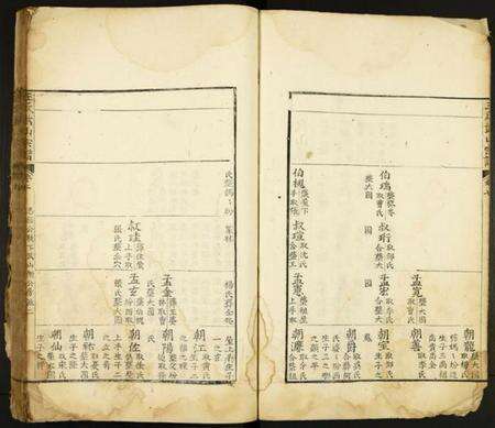 江西王氏族谱-王氏武山宗谱.pdf电子版预览图2