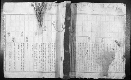 江西王氏族谱-王氏重修族谱.pdf电子版缩略图