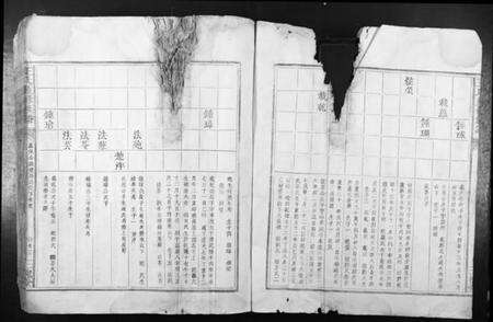 江西王氏族谱-王氏重修族谱.pdf电子版预览图1