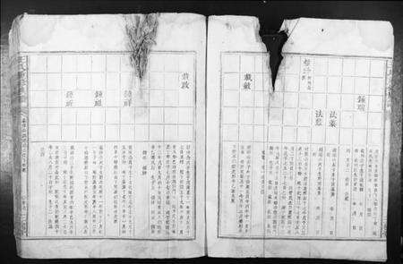 江西王氏族谱-王氏重修族谱.pdf电子版预览图5