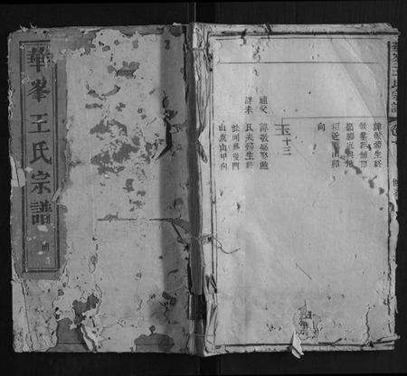 江西王氏族谱-华峰王氏宗谱 [2卷].pdf电子版缩略图