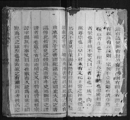 江西王氏族谱-华峰王氏宗谱 [2卷].pdf电子版预览图2