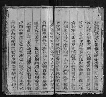 江西王氏族谱-华峰王氏宗谱 [2卷].pdf电子版预览图3