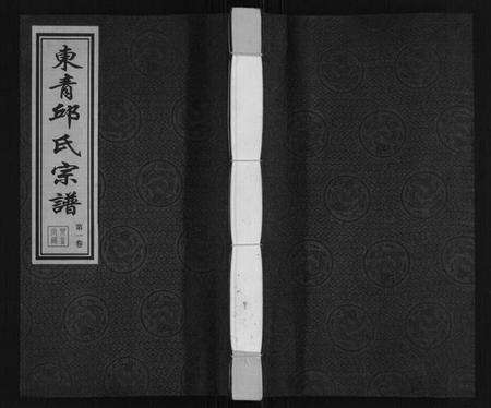 江苏邱氏族谱-东青邱氏宗谱.pdf电子版缩略图