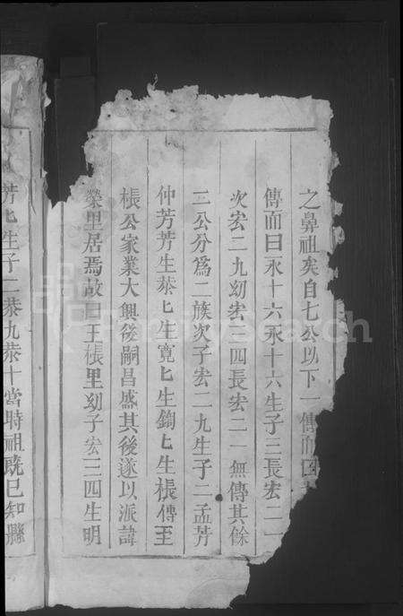 江西王氏族谱-琅琊王氏宗谱 [残卷].pdf电子版预览图4