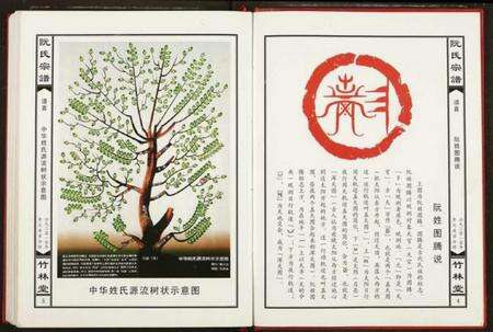 湖北阮氏族谱-阮氏宗谱.pdf电子版预览图3