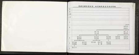 江苏阮徐氏徐氏族谱-阮徐氏谱.pdf电子版预览图1