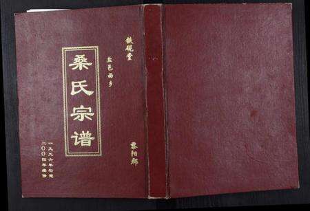 江苏桑氏族谱-桑氏宗谱.pdf电子版缩略图