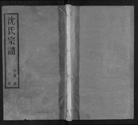 江苏沈氏族谱-沈氏宗谱.pdf电子版缩略图