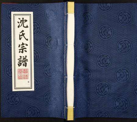 江苏沈氏族谱-沈氏宗谱.pdf电子版缩略图