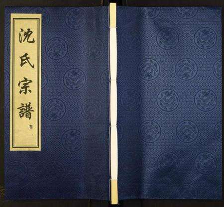 江苏沈氏族谱-沈氏宗谱.pdf电子版缩略图