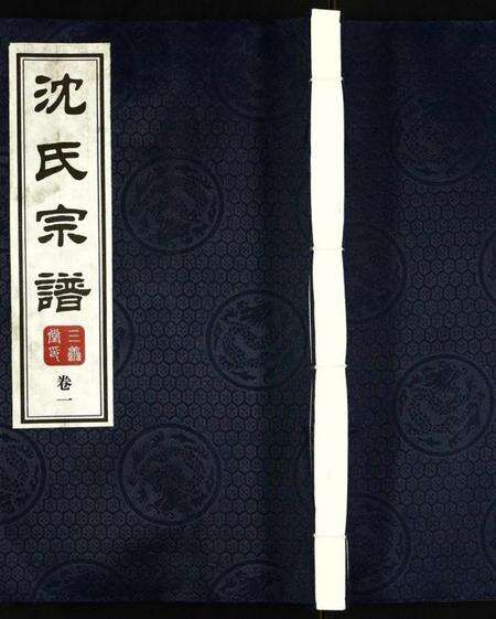 江苏沈氏族谱-沈氏宗谱.pdf电子版缩略图