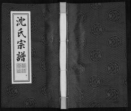 江苏沈氏族谱-沈氏宗谱.pdf电子版缩略图