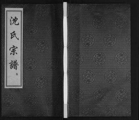 江苏沈氏族谱-沈氏宗谱.pdf电子版缩略图