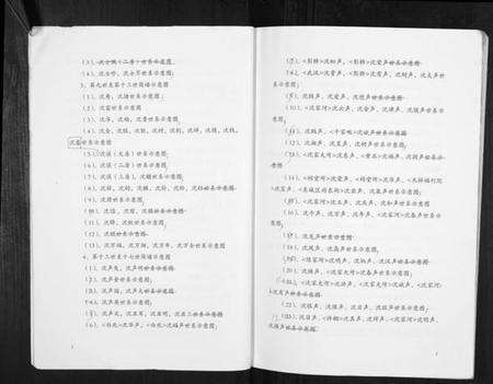 湖北沈氏族谱-沈氏东林堂族谱.pdf电子版预览图4