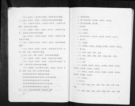 湖北沈氏族谱-沈氏东林堂族谱.pdf电子版预览图5