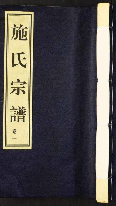 江苏施氏族谱-施氏宗谱.pdf电子版缩略图