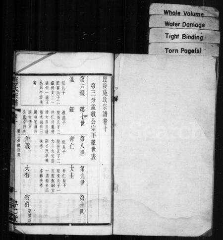 江苏施氏族谱-施氏宗谱.pdf电子版预览图1