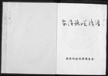 湖北施氏族谱-安陆施姓族谱.pdf电子版预览图2