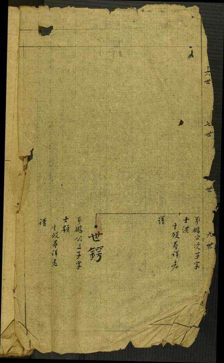 中国舒氏族谱-[舒氏]天祥公房草谱.pdf电子版预览图1