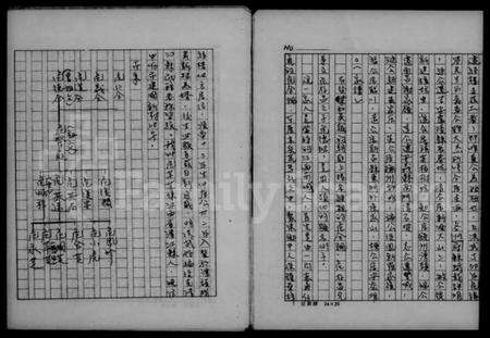 江西危氏族谱-危氏家谱.pdf电子版预览图2