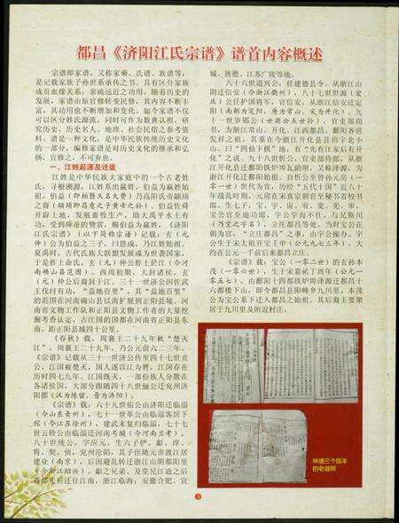 江西未知族谱-江万里研究工作资料汇编.pdf电子版预览图3