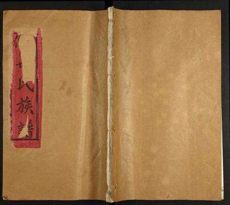 江西未知族谱-河东万氏十一修族谱.pdf电子版缩略图