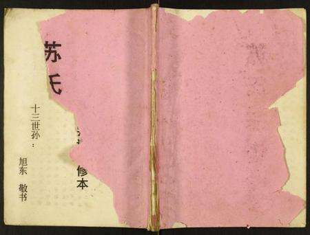 江苏苏氏族谱-苏氏宗谱.pdf电子版缩略图