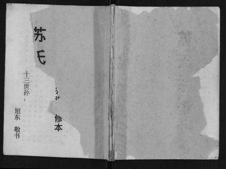 江苏苏氏族谱-苏氏宗谱.pdf电子版缩略图