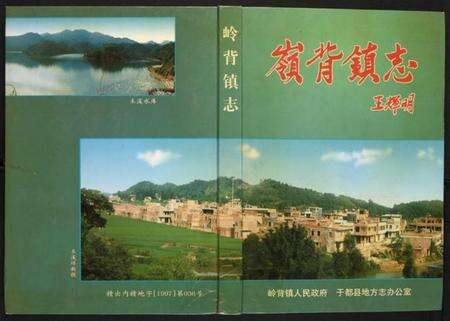 江西未知族谱-岭背镇志.pdf电子版缩略图