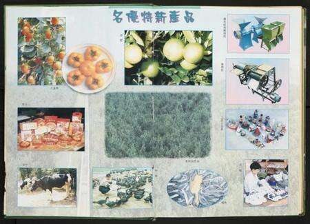 江西未知族谱-岭背镇志.pdf电子版预览图3